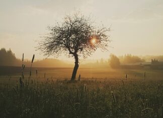 Jak dbać o ranę po zdjęciu szwów?